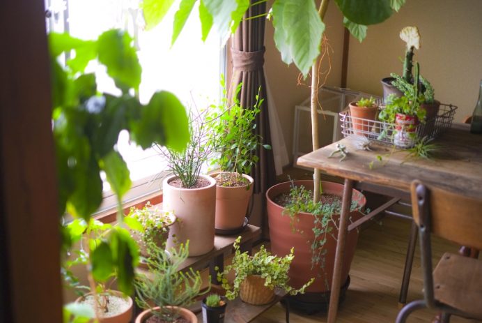 3dd98ab26b3458319e4d23eee3237960_m